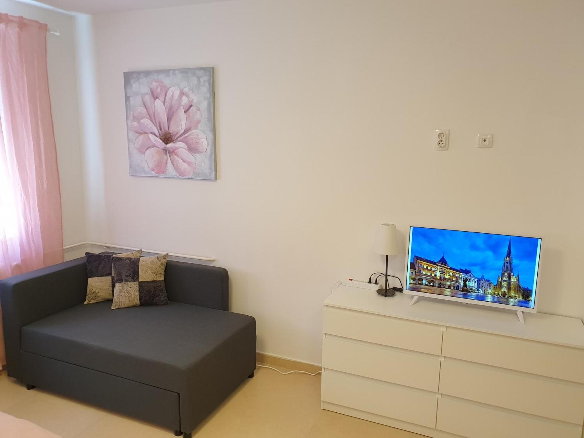 Podbara Center Διαμέρισμα Νόβι Σαντ Εξωτερικό φωτογραφία